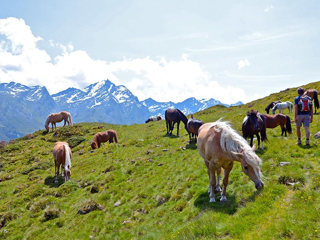 Alpengasthof Praxmar Sankt Sigmund im Sellrain Dış mekan fotoğraf