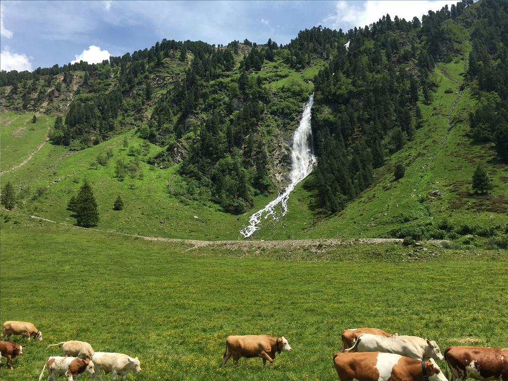Alpengasthof Praxmar Sankt Sigmund im Sellrain Dış mekan fotoğraf